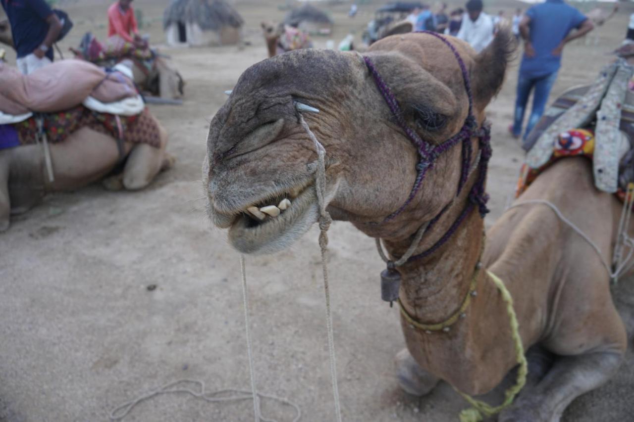 Journey Desert Camp Dzsaiszalmer Kültér fotó