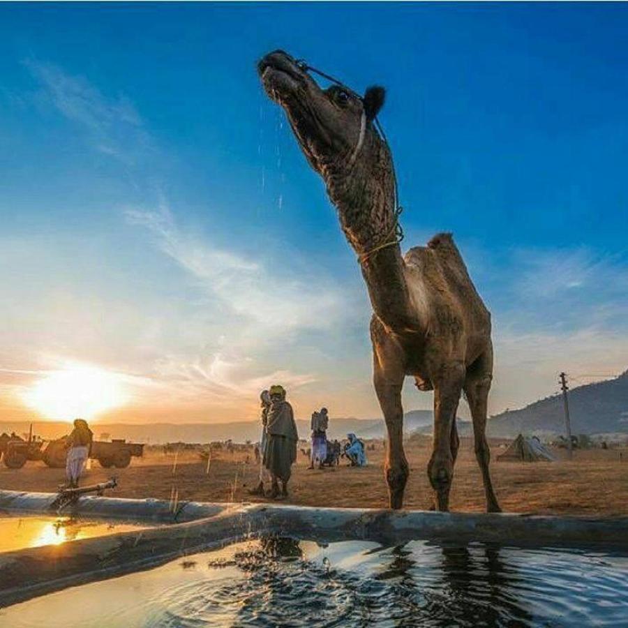 Journey Desert Camp Dzsaiszalmer Kültér fotó